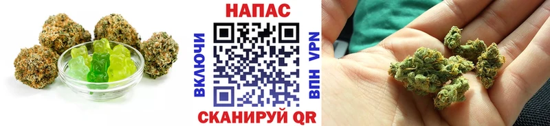Cannafood конопля  Купить закладки  Прохладный 