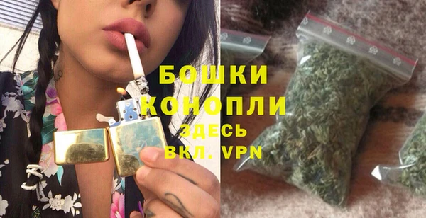 прущие грибы Касимов
