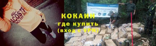 прущие грибы Касимов